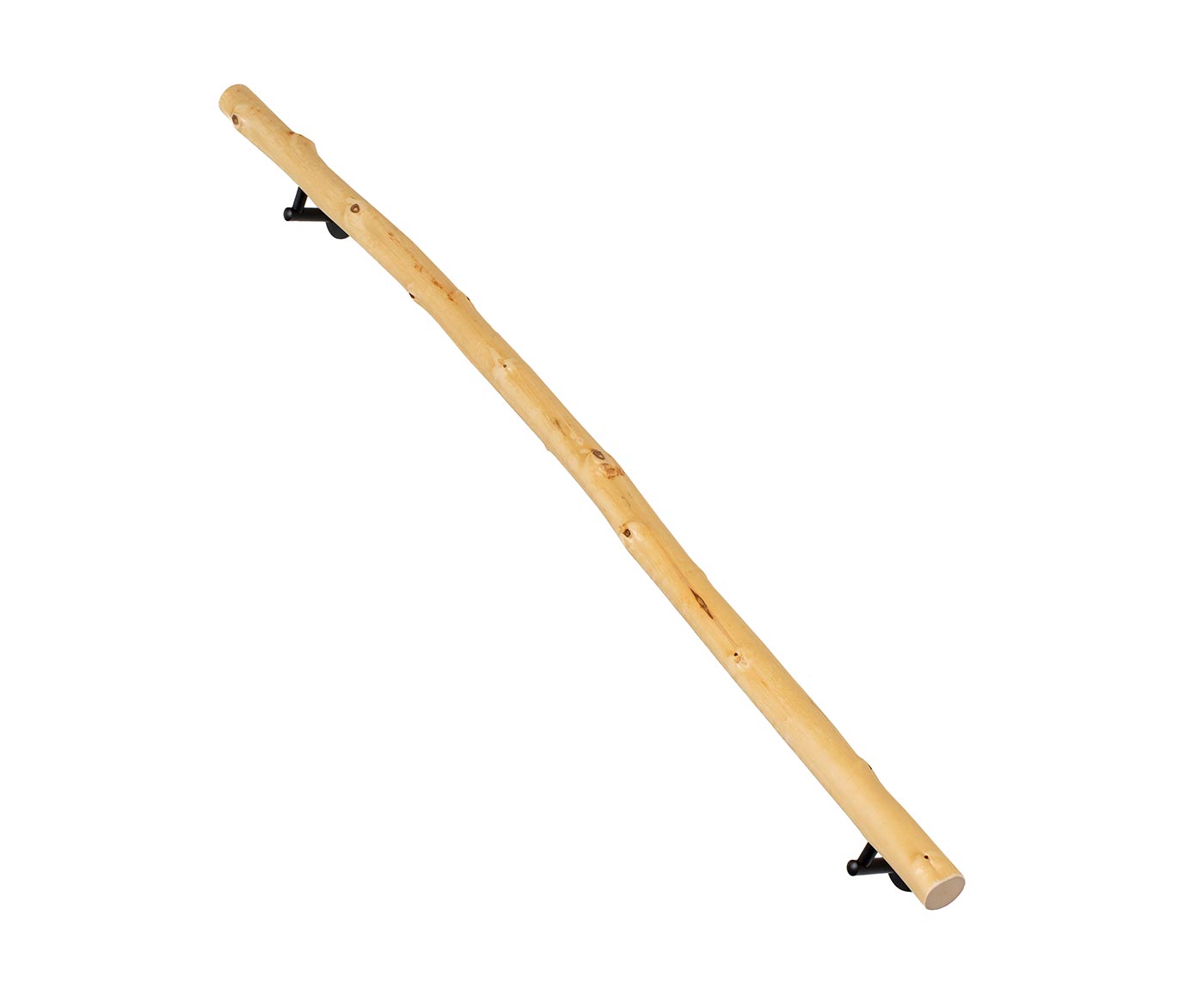 Handlauf-Ast mit schwarzen Handlaufhaltern vor weißem Hintergrund.