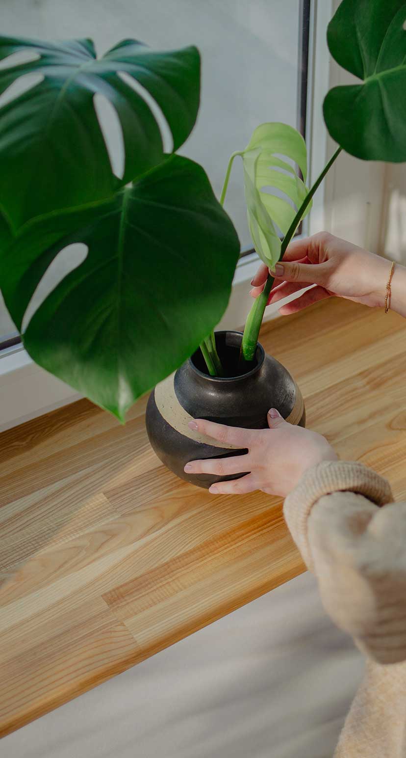 Junge Frau platziert Deko auf der Fensterbank